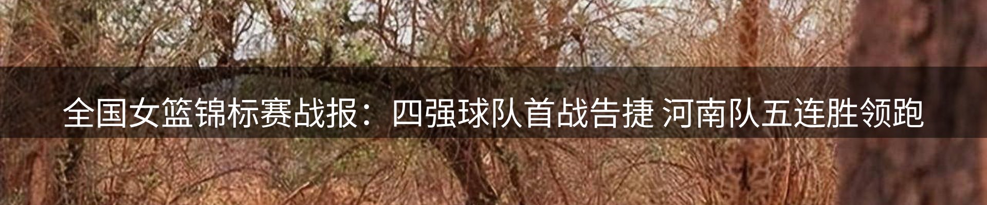 焦点汇集