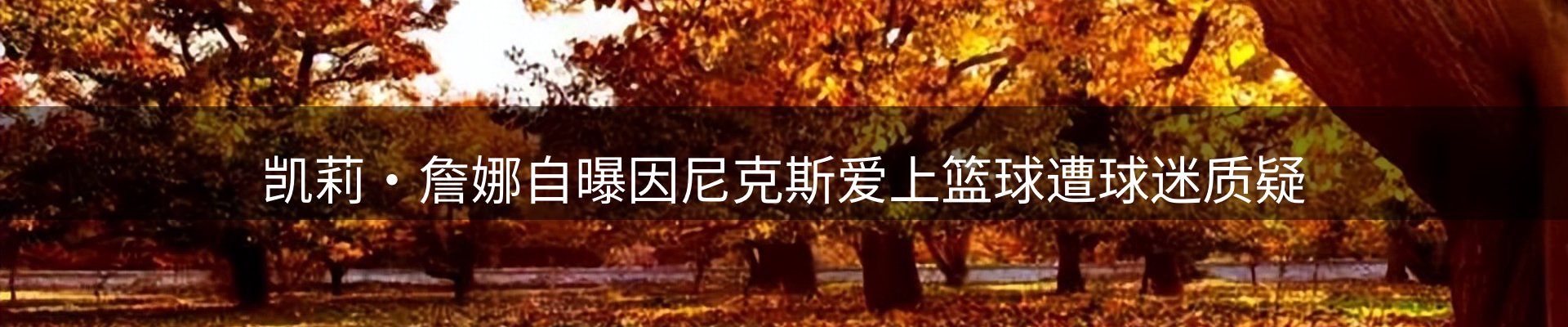 焦点汇集