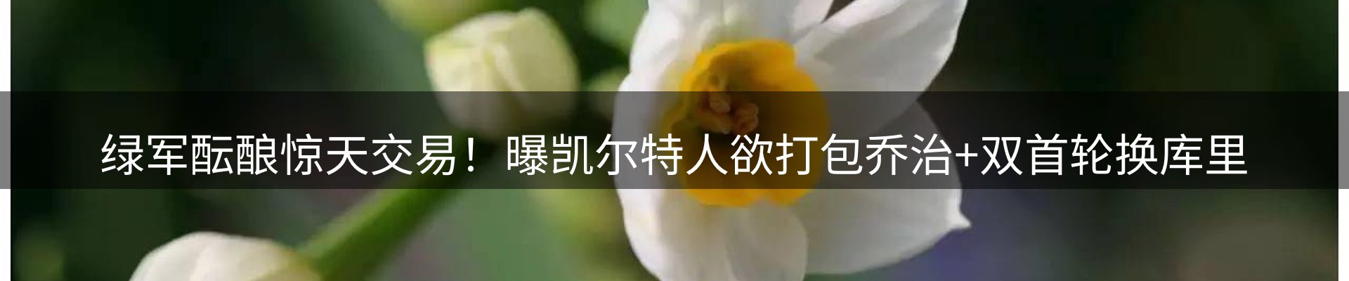 资讯中心